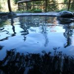 Горячие источники Орегона