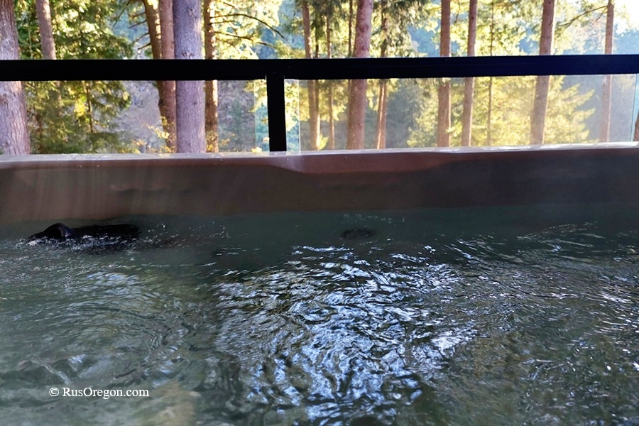 Горячий источник Карсон - Carson Hot Springs, Washington
