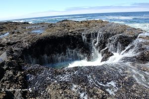 Колодец Тора - Thor's Well at Cook's Chasm