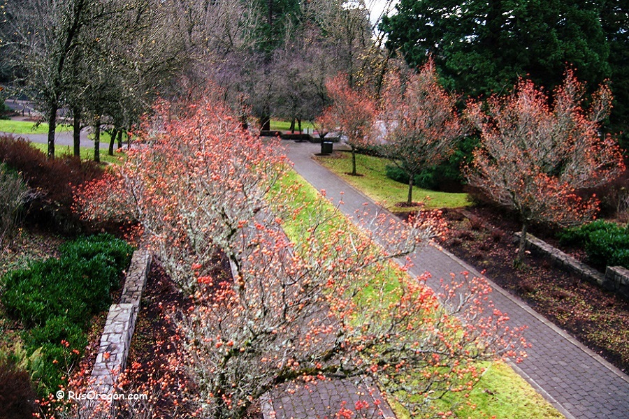 Washington Park - Portland