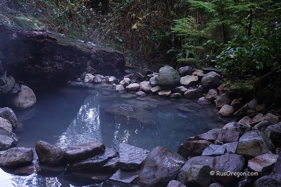 Горячий источник Кугар - Terwilliger Hot Springs
